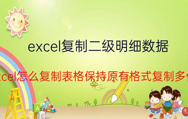 excel复制二级明细数据 excel怎么复制表格保持原有格式复制多份？